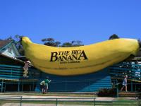 Coffs Harbour Big Banana