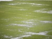 Wet Grounds