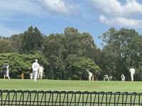 Killara Reserve 22/2/25