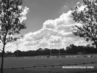 Hammondville Oval