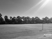 Playford Park