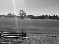 Graf Park